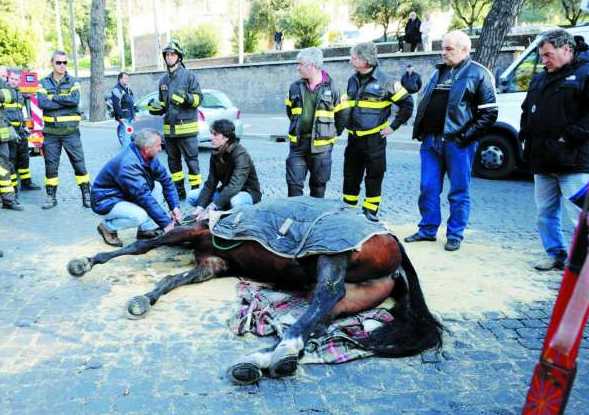 BOTTICELLE ROMANE: ennesimo incidente mortale