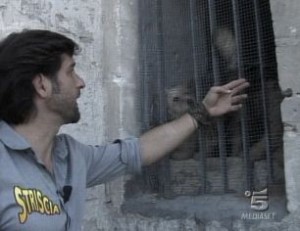 striscia la notizia edoardo stoppa