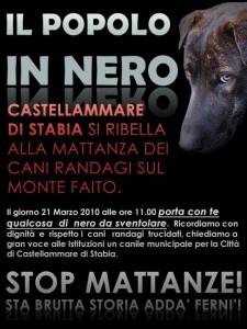 monte_faita stage di cani randagi sul monte faito