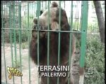 c_35_video_10969_groupvideo_framevideo le drammatiche riprese di Striscia la notizia