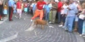 tutte queste persone gioiscono nel vedere maltrattare gli animali. NON C'E' LIMITE ALLA BASSEZZA MORALE !!!