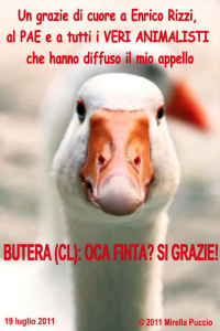 Schermata 2011-07-20 a 02.27.52