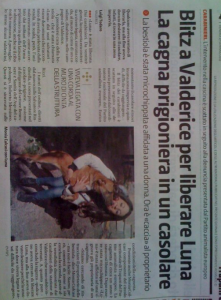 Schermata 01-2455954 alle 17.01.20
