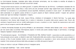 Schermata 04-2456020 alle 19.56.05