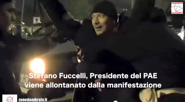 stefano fuccelli