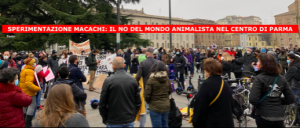 Schermata 2021-02-11 alle 18.52.54