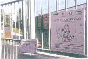 foto giornale